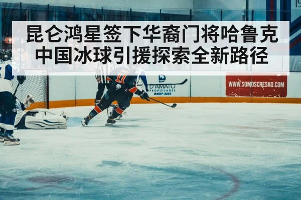 ice hockey match action