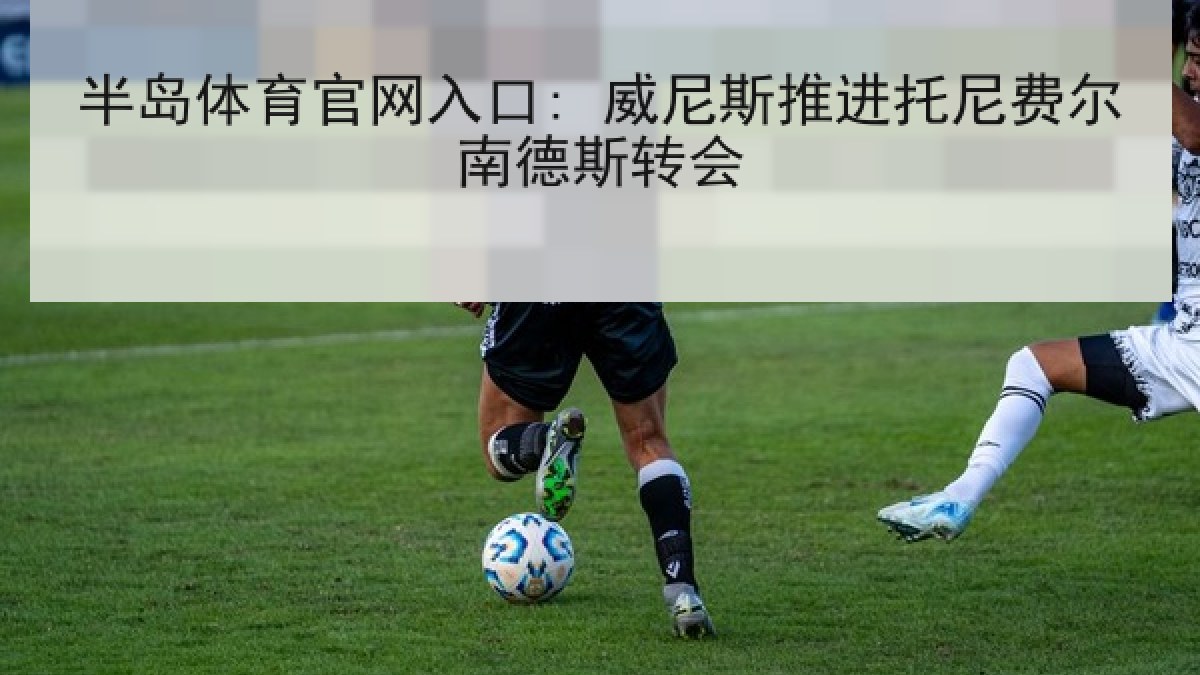 半岛体育官网入口: 威尼斯推进托尼费尔南德斯转会