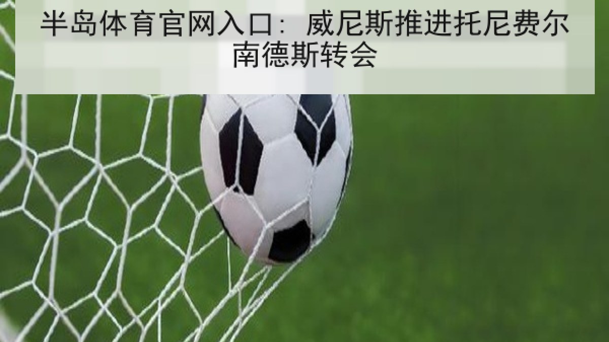 半岛体育官网入口: 威尼斯推进托尼费尔南德斯转会