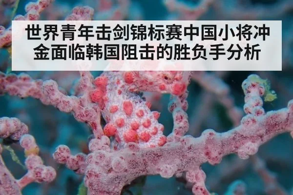 世界青年击剑锦标赛中国小将冲金面临韩国阻击的胜负手分析